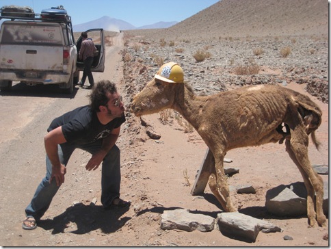 NW Arg San Pedro de Atacama 009