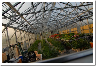 pikes greenhouse inside